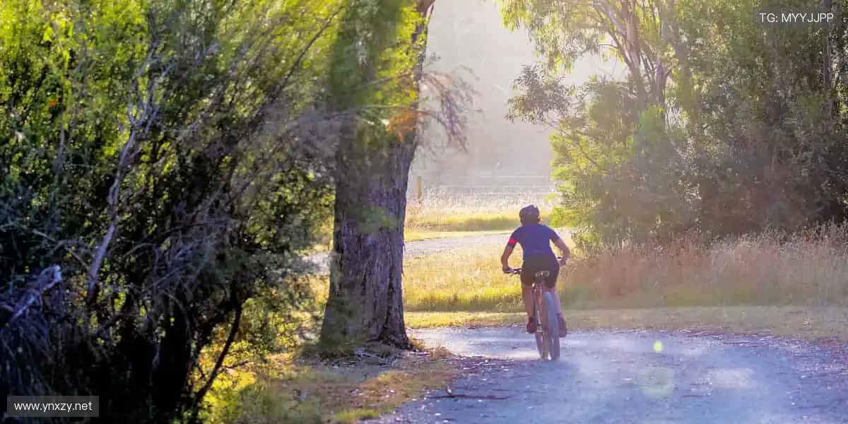 超清画质，仿佛置身现场👀🏟️